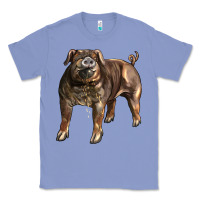 Colony Blue Duroc Pig Classic Tee - LillyAllenDesigns