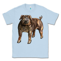 Dusty Blue Duroc Pig Classic Tee - LillyAllenDesigns