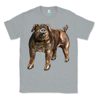 Heather Grey Duroc Pig Classic Tee - LillyAllenDesigns