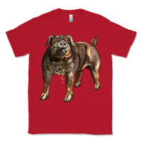 Red Duroc Pig Classic Tee - LillyAllenDesigns