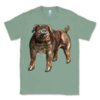 Sage Duroc Pig Classic Tee - LillyAllenDesigns