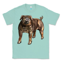 Seafoam Duroc Pig Classic Tee - LillyAllenDesigns