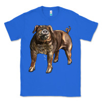 True Royal Duroc Pig Classic Tee - LillyAllenDesigns