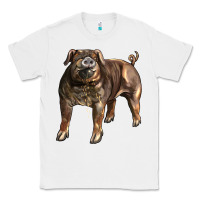White Duroc Pig Classic Tee - LillyAllenDesigns