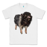 White Baby Hampshire Pig Classic Tee - LillyAllenDesigns