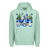 Seafoam snow gnome truck Premium Hoodie - texasbilliewilder