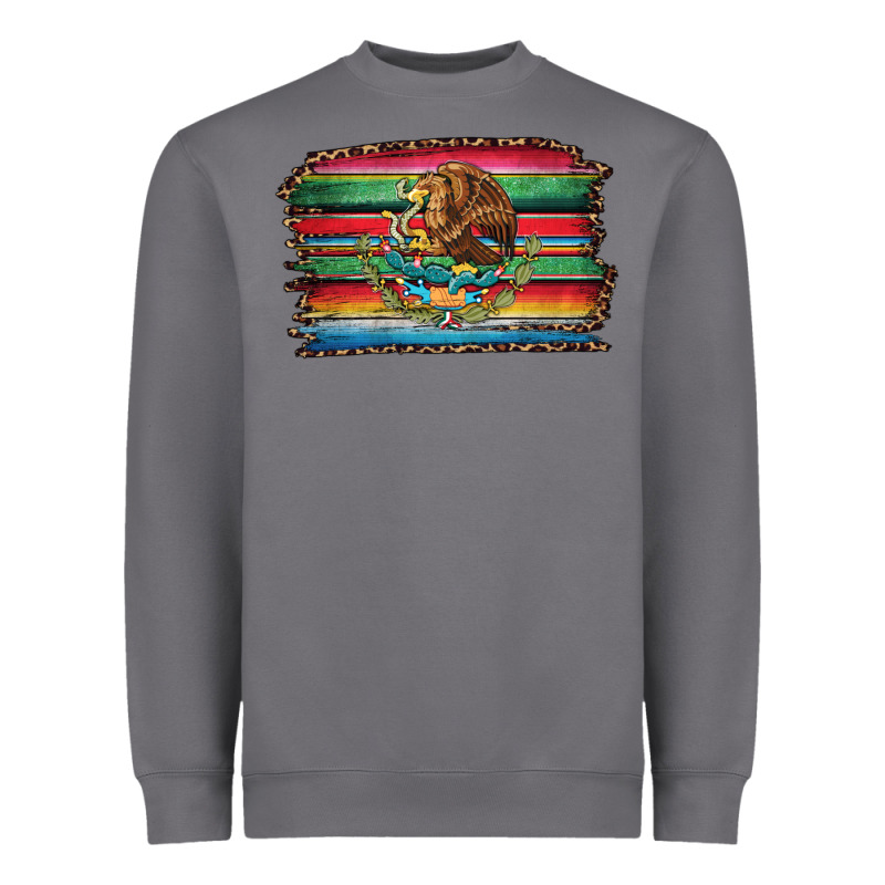 Serape Leopard Mexican Flag Heavyweight Sweatshirt by Jasminsmagicworld | Teevron