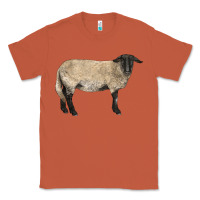 Copper Suffolk Sheep Classic Tee - LillyAllenDesigns