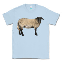 Dusty Blue Suffolk Sheep Classic Tee - LillyAllenDesigns