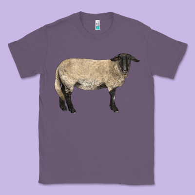 Suffolk Sheep Classic Tee Designed By Lillyallendesigns