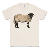 Natural Suffolk Sheep Classic Tee - LillyAllenDesigns