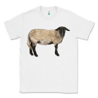 White Suffolk Sheep Classic Tee - LillyAllenDesigns