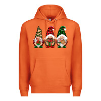 Carrot Christmas gnomes Premium Hoodie - NancyCooperArtShop