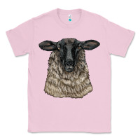Bubblegum Pink Suffolk Sheep Head Classic Tee - LillyAllenDesigns