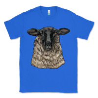 True Royal Suffolk Sheep Head Classic Tee - LillyAllenDesigns