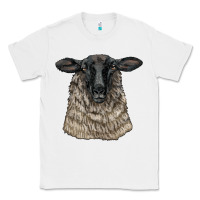 White Suffolk Sheep Head Classic Tee - LillyAllenDesigns