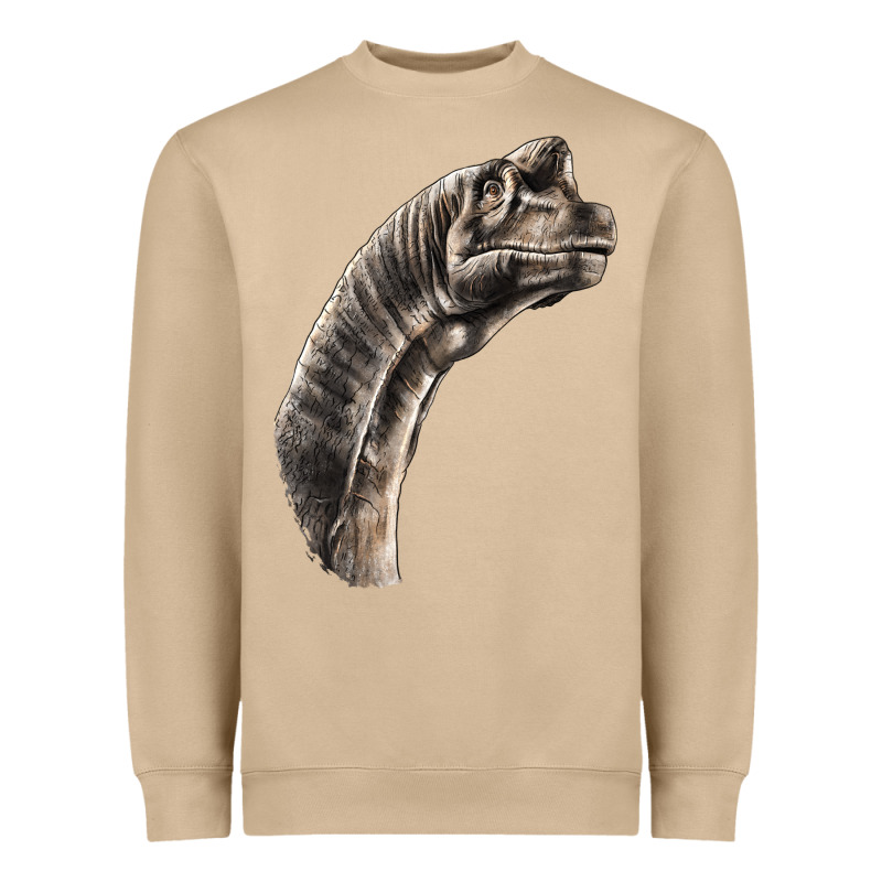 Brachiosaurus Face Heavyweight Sweatshirt by LillyAllenDesigns | Teevron