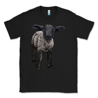 Black suffolk baby sheep Classic Tee - LillyAllenDesigns