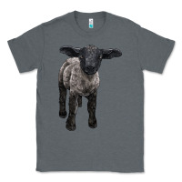Charcoal Heather suffolk baby sheep Classic Tee - LillyAllenDesigns