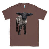 Chestnut suffolk baby sheep Classic Tee - LillyAllenDesigns