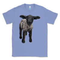 Colony Blue suffolk baby sheep Classic Tee - LillyAllenDesigns