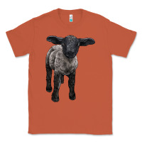 Copper suffolk baby sheep Classic Tee - LillyAllenDesigns