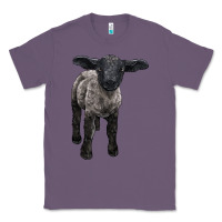 Lavender suffolk baby sheep Classic Tee - LillyAllenDesigns