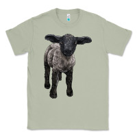 Matcha suffolk baby sheep Classic Tee - LillyAllenDesigns