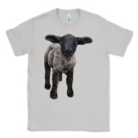 Moon Dust suffolk baby sheep Classic Tee - LillyAllenDesigns