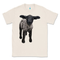 Natural suffolk baby sheep Classic Tee - LillyAllenDesigns