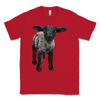 Red suffolk baby sheep Classic Tee - LillyAllenDesigns