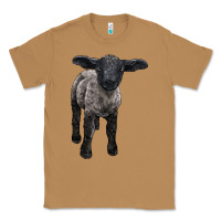 Toasted Coconut suffolk baby sheep Classic Tee - LillyAllenDesigns