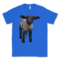 True Royal suffolk baby sheep Classic Tee - LillyAllenDesigns