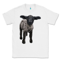 White suffolk baby sheep Classic Tee - LillyAllenDesigns