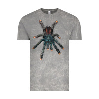 Cloud Rock Pink Toe Tarantula Vintage Tee - LillyAllenDesigns