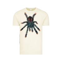 Vintage Arctic Pink Toe Tarantula Vintage Tee - LillyAllenDesigns