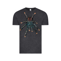 Vintage Black Pink Toe Tarantula Vintage Tee - LillyAllenDesigns