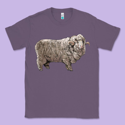 Rambouillet Sheep Classic Tee Designed By Lillyallendesigns