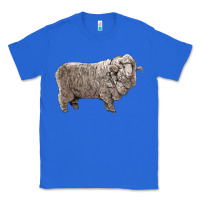 True Royal rambouillet sheep Classic Tee - LillyAllenDesigns