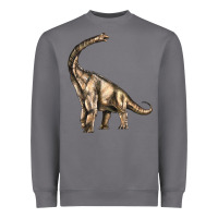 Storm Brachiosaurus Heavyweight Sweatshirt - LillyAllenDesigns