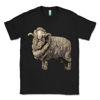 Black merino wool sheep Classic Tee - LillyAllenDesigns