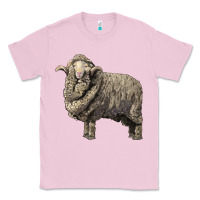 Bubblegum Pink merino wool sheep Classic Tee - LillyAllenDesigns
