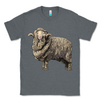 Charcoal Heather merino wool sheep Classic Tee - LillyAllenDesigns