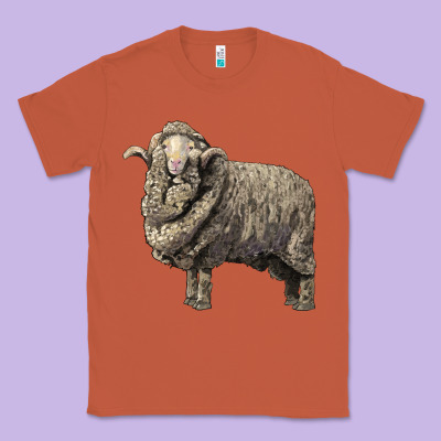 Merino Wool Sheep Classic Tee Designed By Lillyallendesigns