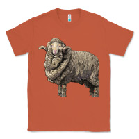 Copper merino wool sheep Classic Tee - LillyAllenDesigns