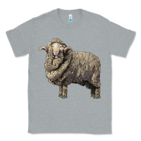 Heather Grey merino wool sheep Classic Tee - LillyAllenDesigns