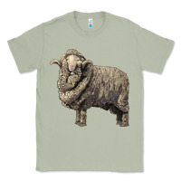 Matcha merino wool sheep Classic Tee - LillyAllenDesigns