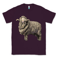 Plum merino wool sheep Classic Tee - LillyAllenDesigns