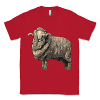 Red merino wool sheep Classic Tee - LillyAllenDesigns