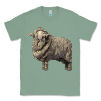 Sage merino wool sheep Classic Tee - LillyAllenDesigns